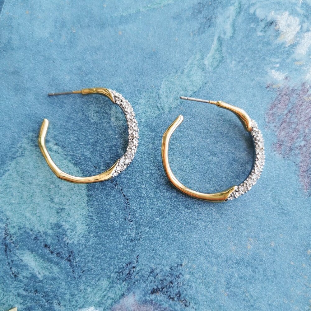 Alexis Bittar Two Tone Pave Hoop Earring Crystal